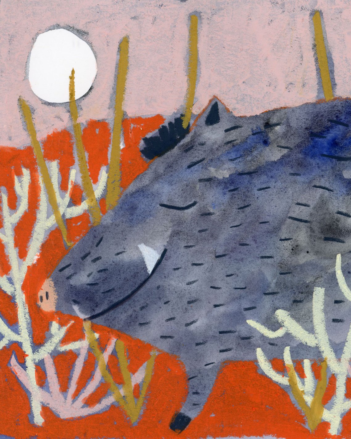 Javelina Dreams Giclée Print — Melissa Lakey